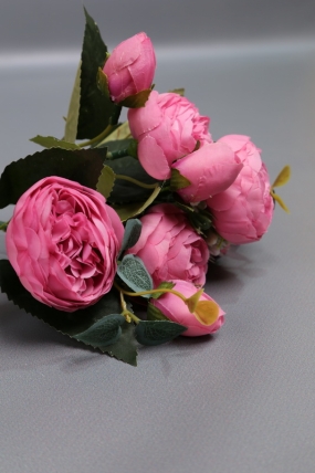 Пионы Ретро низкие малиновые 30 см