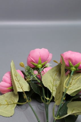 Пионы Ретро низкие малиновые 30 см