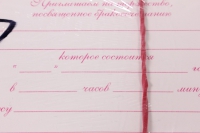 приглашение на свадьбу "молодожены с малиновыми пионами" (20 шт в упаковке), 098.584