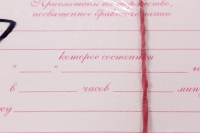 приглашение на свадьбу "молодожены с малиновыми пионами" (20 шт в упаковке), 098.584