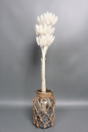 Сухоцвет "Лагурус", 60 шт в пучке, разм. цветка 5-7 см, белый 8131М