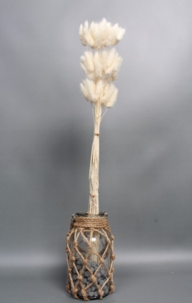 Сухоцвет "Лагурус", 60 шт в пучке, разм. цветка 5-7 см, молочный  8148М