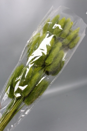 Сухоцвет "Лагурус", 60 шт в пучке, разм. цветка 5-7 см, оливковый  8345М