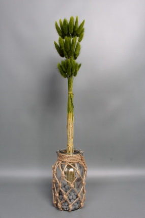 Сухоцвет "Лагурус", 60 шт в пучке, разм. цветка 5-7 см, оливковый  8345М