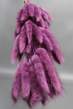 Сухоцвет "Лагурус", 60 шт в пучке, разм. цветка 5-7 см, пурпурный  4046М