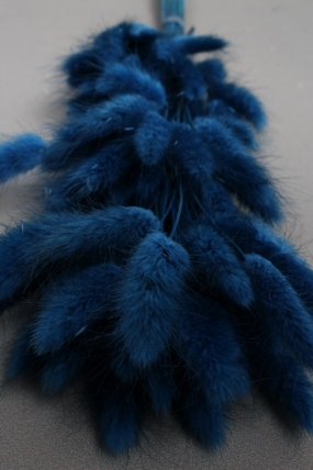 Сухоцвет "Лагурус", 60 шт в пучке, разм. цветка 5-7 см, спелая голубика  4077М