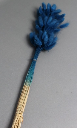 Сухоцвет "Лагурус", 60 шт в пучке, разм. цветка 5-7 см, спелая голубика  4077М