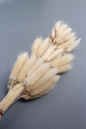 Сухоцвет "Лагурус", 60 шт в пучке, разм. цветка 5-7 см, светло-натуральный 4008