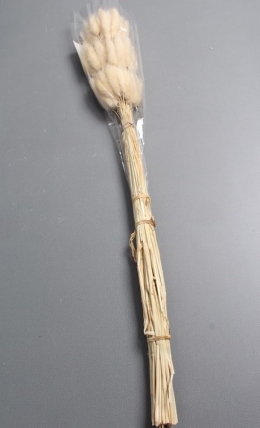 Сухоцвет "Лагурус", 60 шт в пучке, разм. цветка 5-7 см, светло-натуральный 4008