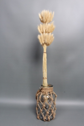 Сухоцвет "Лагурус", 60 шт в пучке, разм. цветка 5-7 см, светло-натуральный 4008