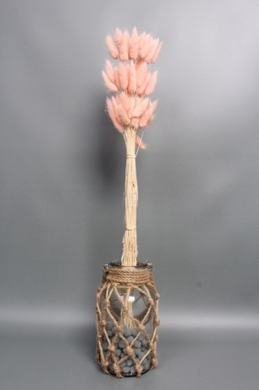 Сухоцвет "Лагурус", 60 шт в пучке, разм. цветка 5-7 см,  светло-розовый  8186М