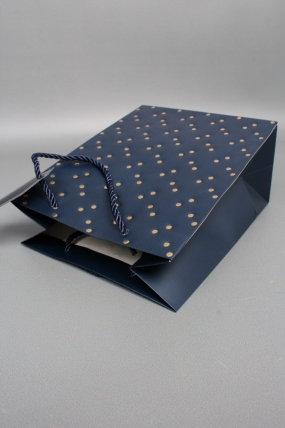 Сумка ЛЮКС Кнопки металл 23*18*10 синий  L1991