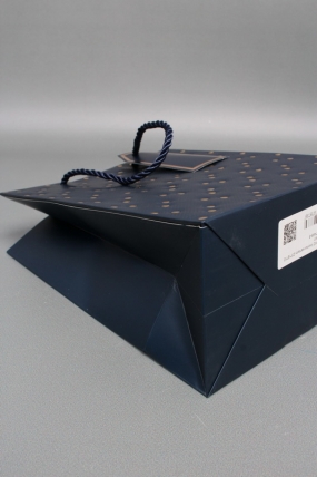 Сумка ЛЮКС Кнопки металл 23*18*10 синий  L1991