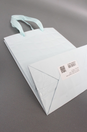 Сумка Люкс Лак тиснение кожа 18*23*10 голубой L226