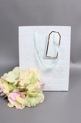 Сумка Люкс Лак тиснение кожа 18*23*10 голубой L226