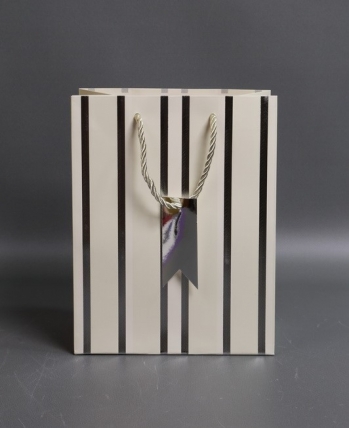 Сумка Люкс Полосы металл  18*23*10  шампань  L570