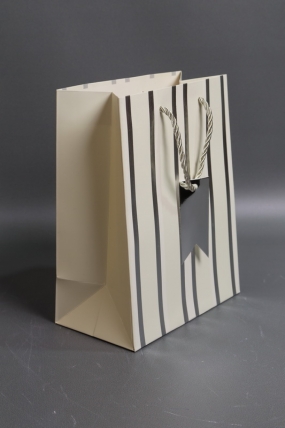 Сумка Люкс Полосы металл  18*23*10  шампань  L570