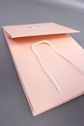 Сумка Люкс с окном персик 20*30*16см L341 Цена за 1шт