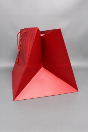 Сумка ЛЮКС Золотые стрелы 30*38*30 красный L604