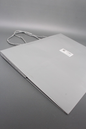 Сумка ЛЮКС Золотые стрелы 30*38*30 серебро L604