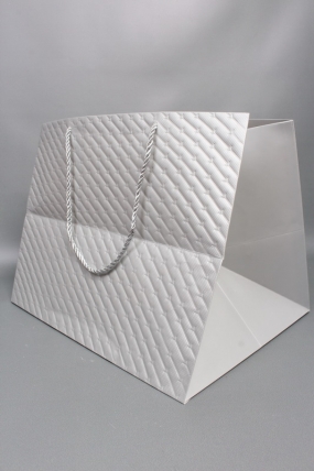 Сумка ЛЮКС Золотые стрелы 30*38*30 серебро L604