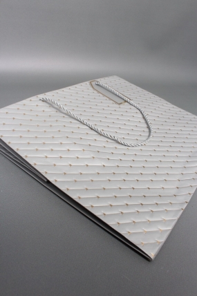 Сумка ЛЮКС Золотые стрелы 30*38*30 серебро L604