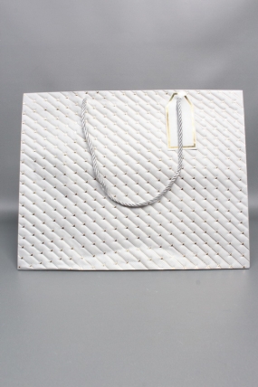 Сумка ЛЮКС Золотые стрелы 30*38*30 серебро L604