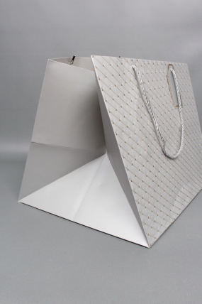 Сумка ЛЮКС Золотые стрелы 30*38*30 серебро L604