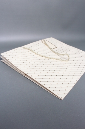 Сумка ЛЮКС Золотые стрелы 30*38*30 шампань L604