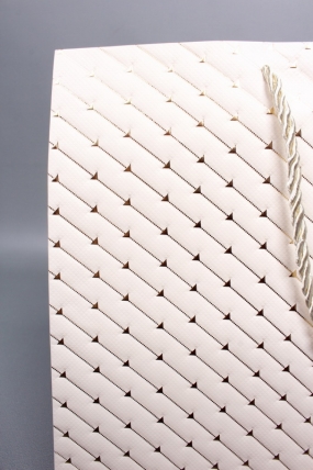 Сумка ЛЮКС Золотые стрелы 30*38*30 шампань L604