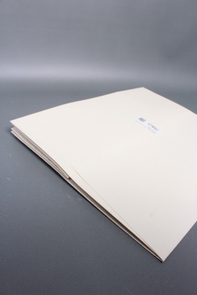 Сумка ЛЮКС Золотые стрелы 30*38*30 шампань L604