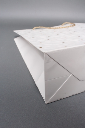 Сумка  Люкс Ромашки воздушные 26*32*12 белый   L1169