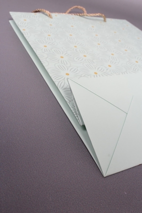 Сумка  Люкс Ромашки воздушные 26*32*12 фисташка   L1169