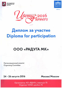 Цветы 2016